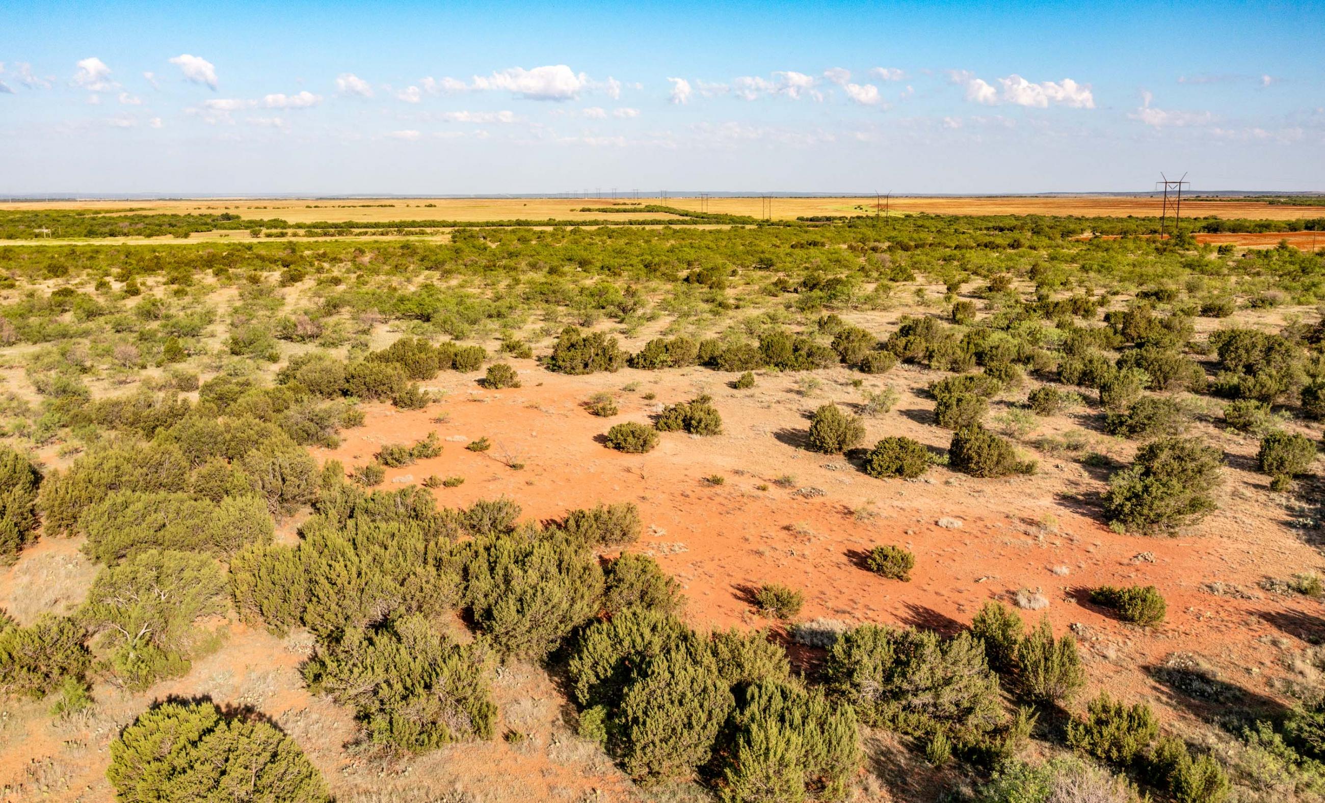 Smith Ranch Chas S. Middleton